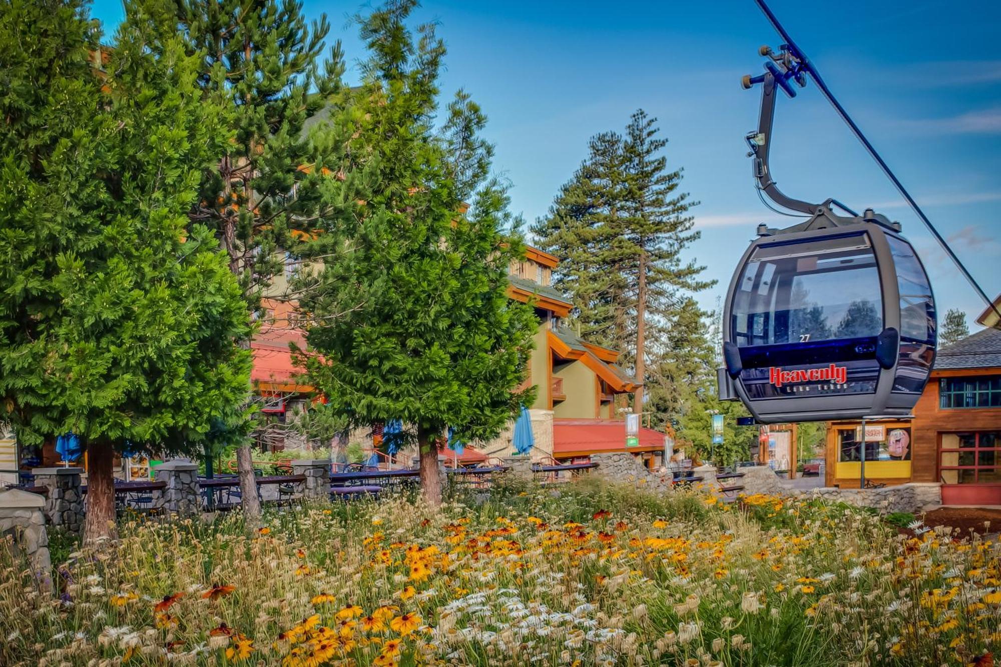 Donner Escape South Lake Tahoe