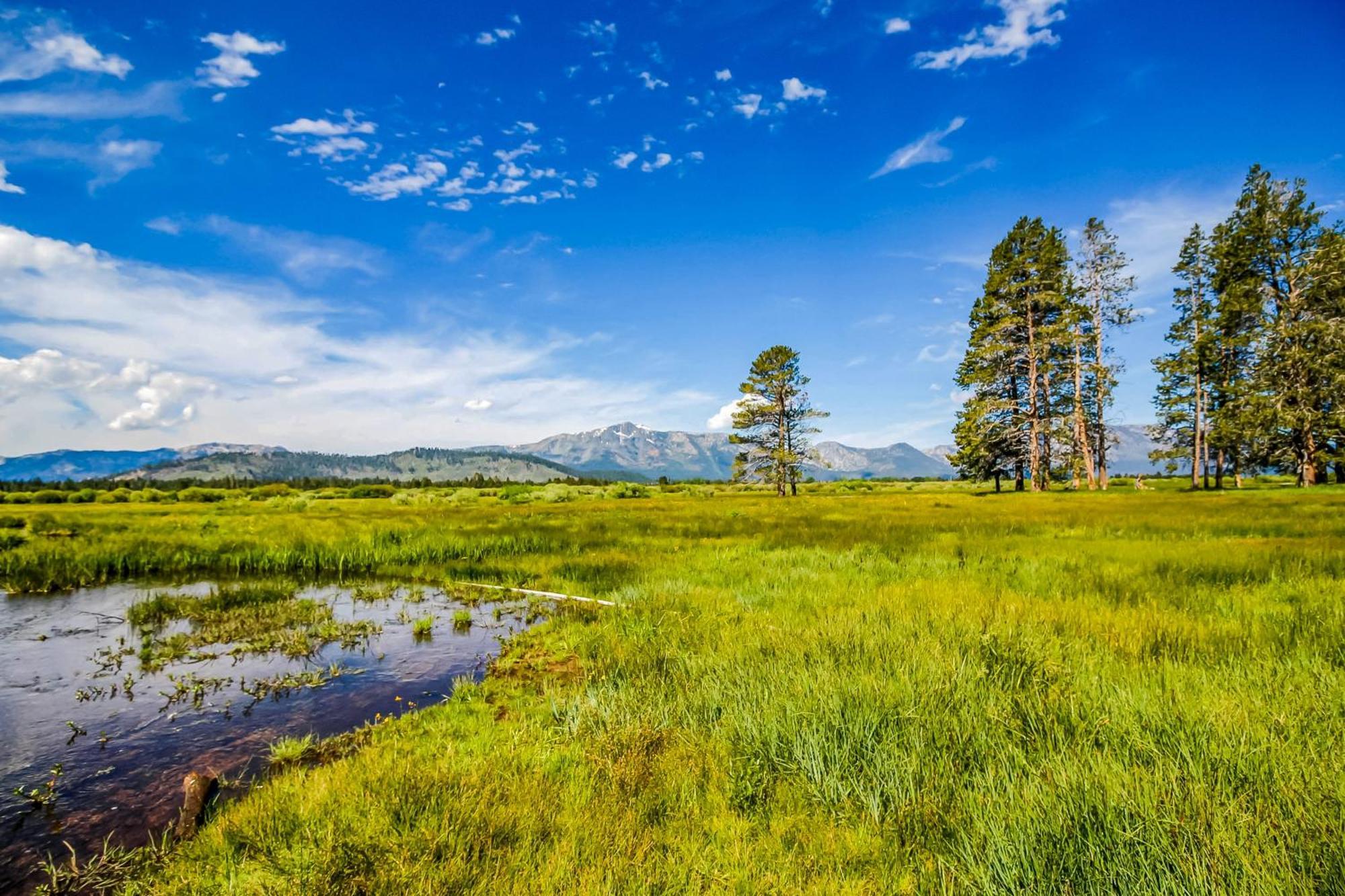 Donner Escape Holiday home