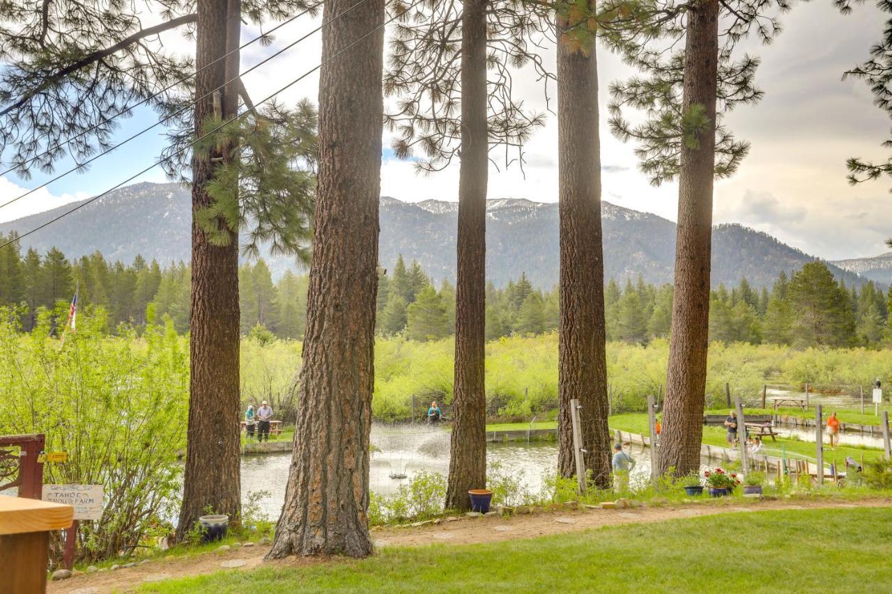 Pet-friendly South Tahoe 2 Mi To * South Lake Tahoe