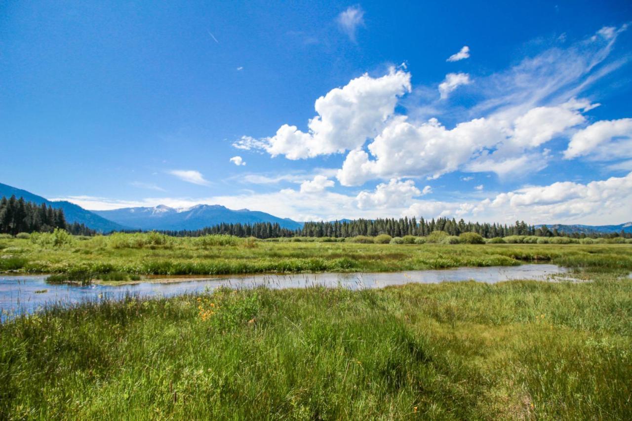 Spruce Grove Washoe Cabin * South Lake Tahoe